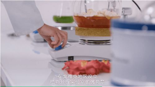 林清轩炮轰香奈儿,红山茶花之争究竟是 不正当竞争 还是越级 碰瓷