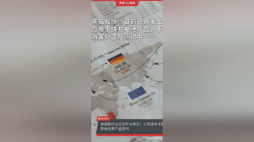 黑猫股份 目前已开发出应用于快充电池产品,下游客户正在测试中