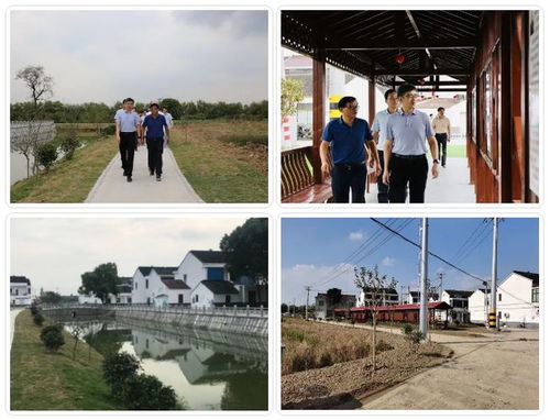 白墙黑瓦 水清路明,江阴的农村正越来越美